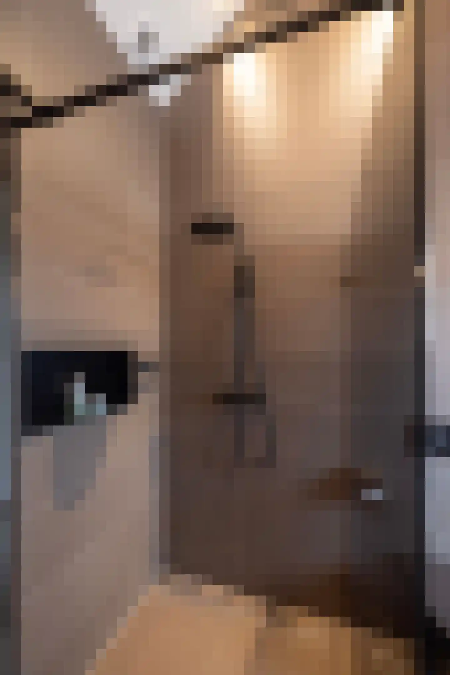 Mezenbergerweg 12 Doornspijk thumbnail 39