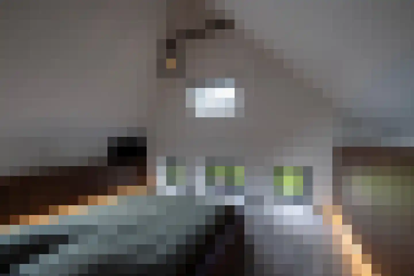 Mezenbergerweg 12 Doornspijk thumbnail 47