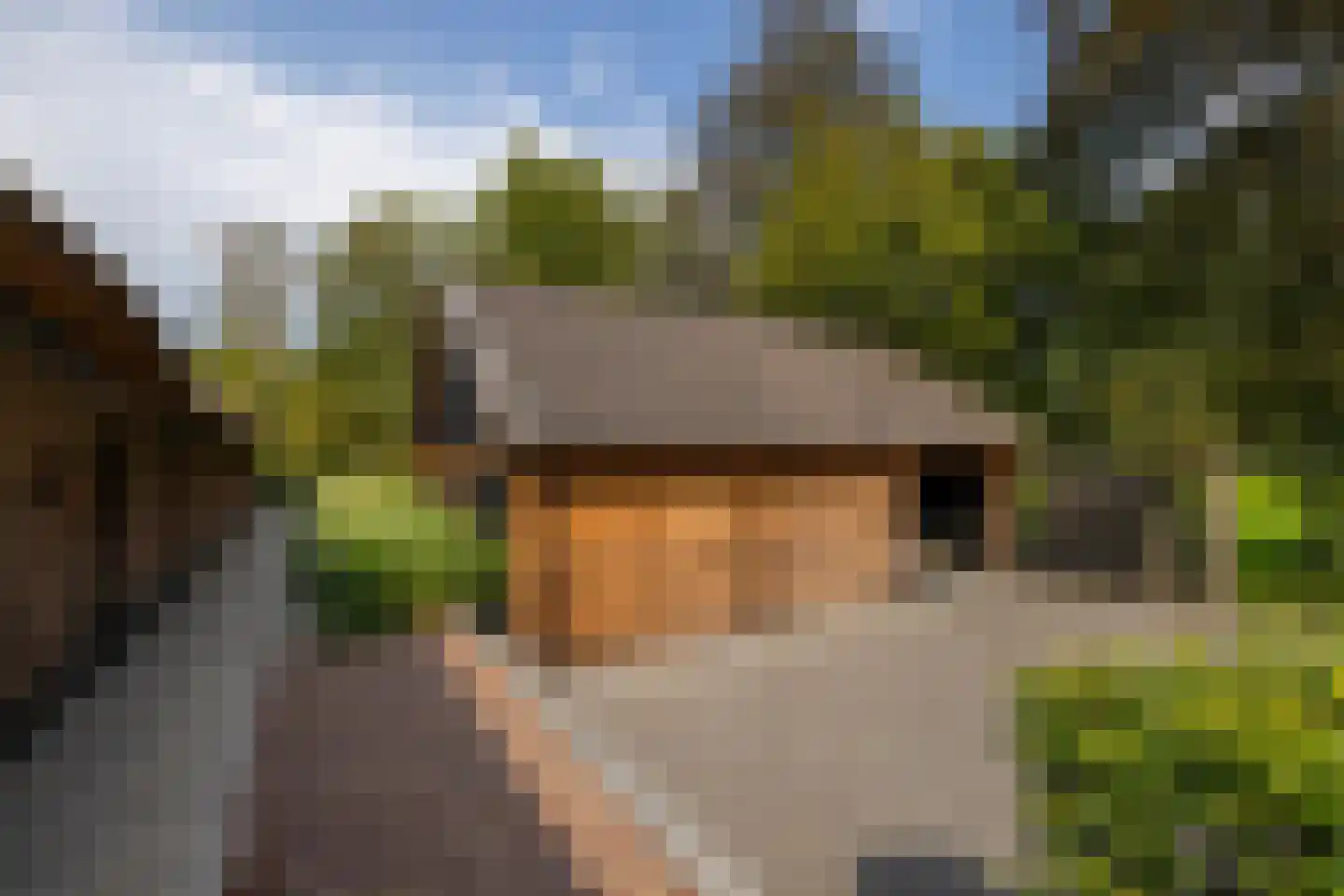 Mezenbergerweg 12 Doornspijk thumbnail 52