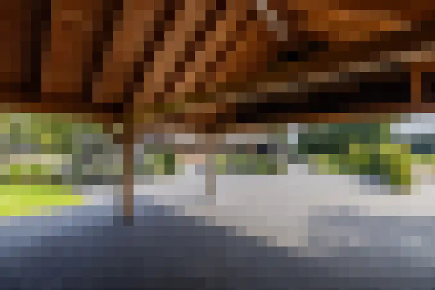 Mezenbergerweg 12 Doornspijk thumbnail 57