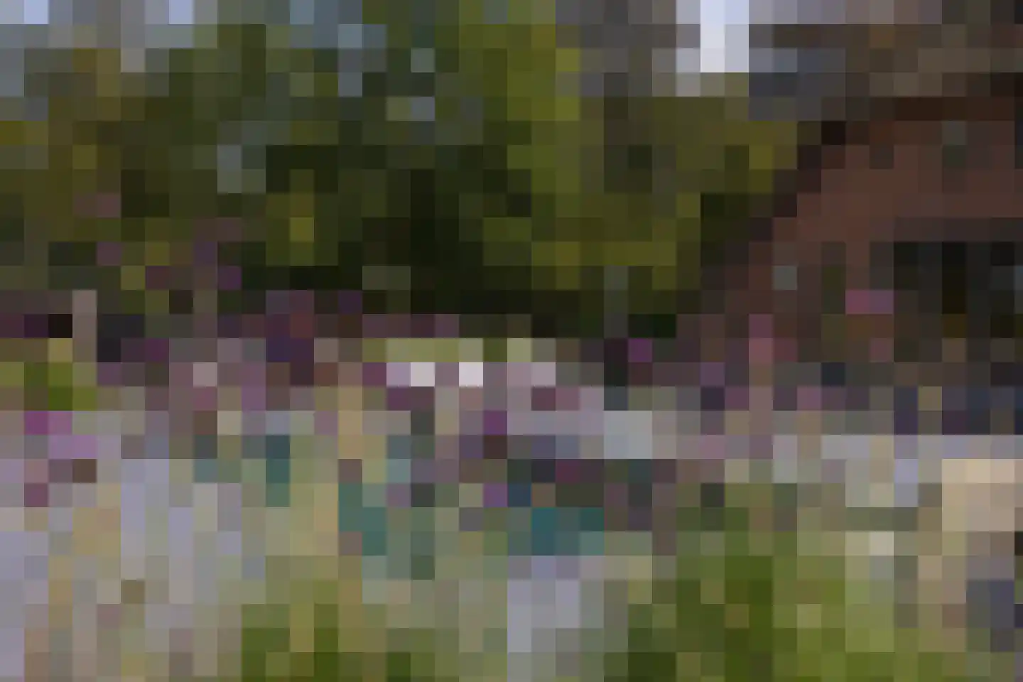 Mezenbergerweg 12 Doornspijk thumbnail 60