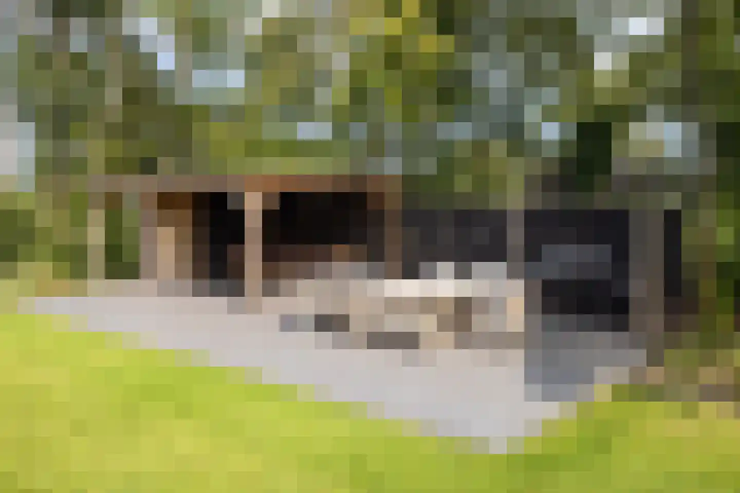 Mezenbergerweg 12 Doornspijk thumbnail 62