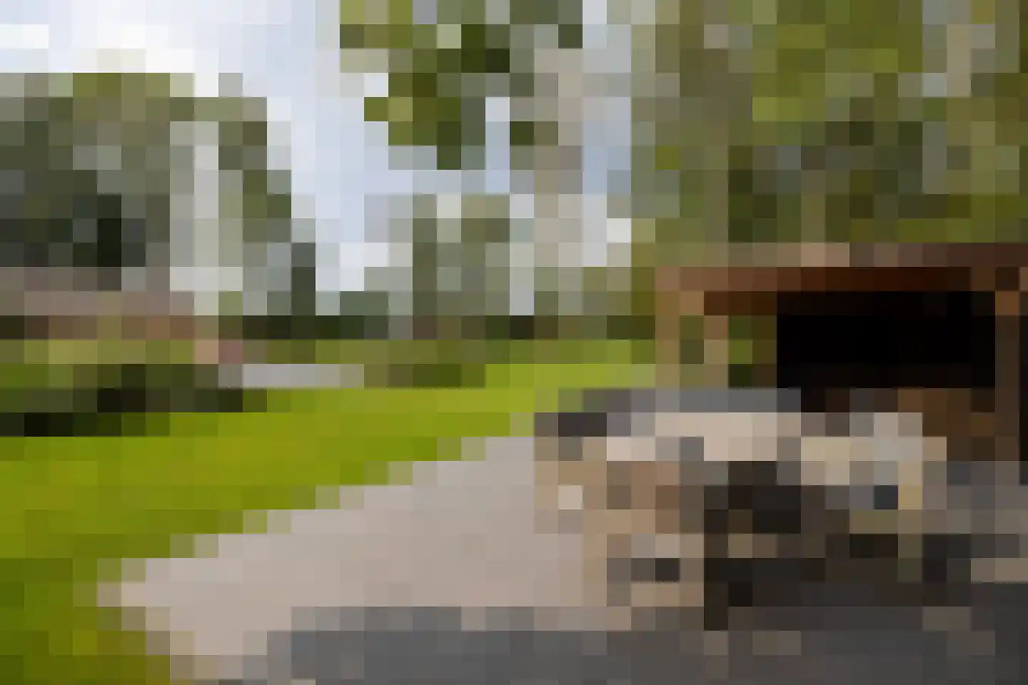 Mezenbergerweg 12 Doornspijk thumbnail 64
