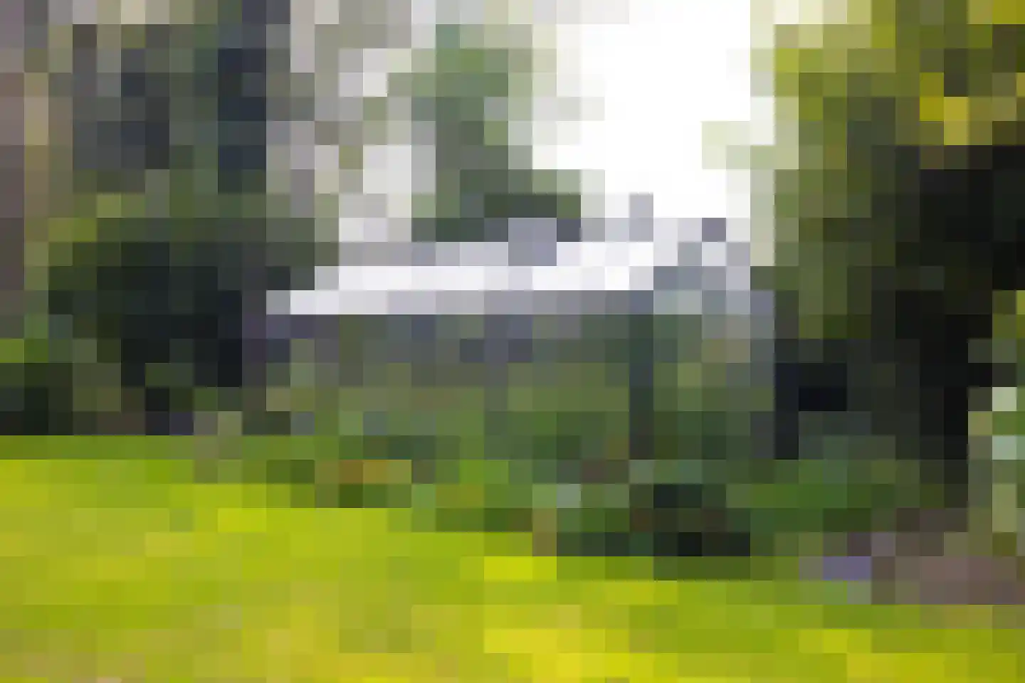 Mezenbergerweg 12 Doornspijk thumbnail 68