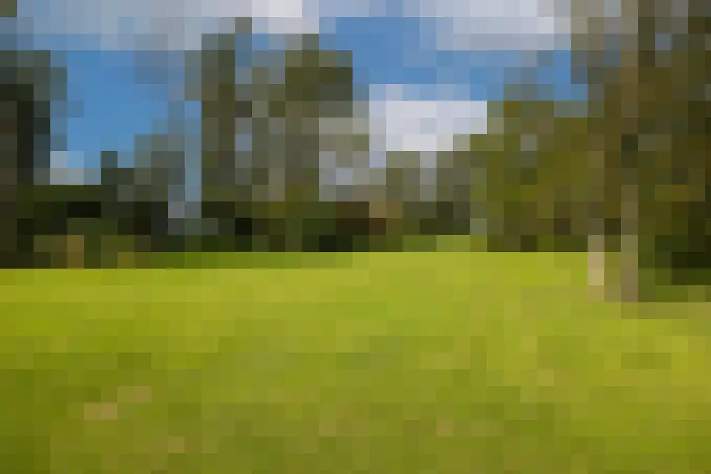 Mezenbergerweg 12 Doornspijk thumbnail 69
