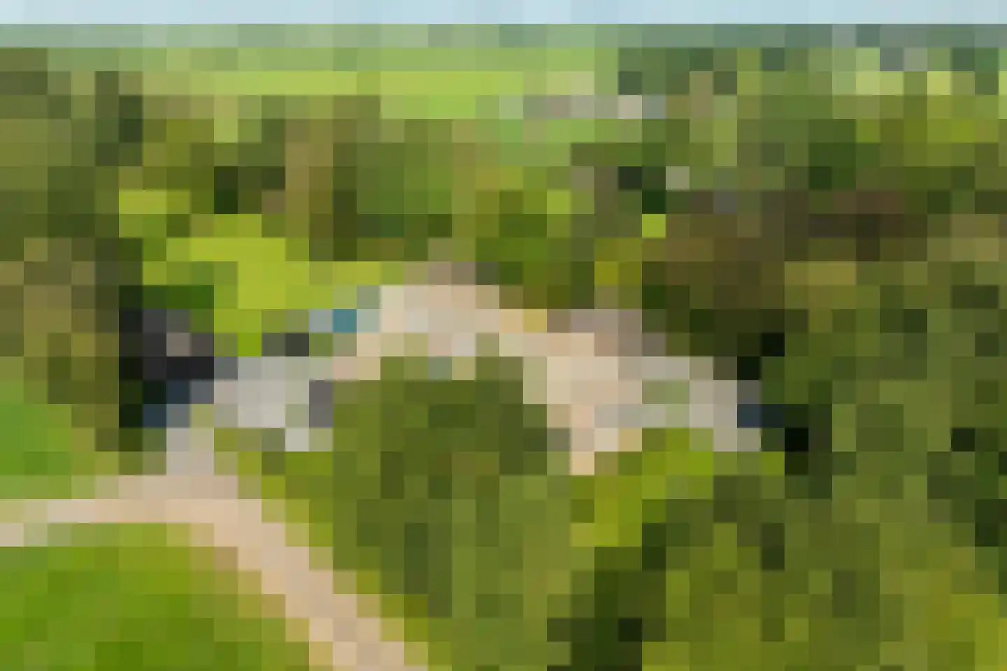 Mezenbergerweg 12 Doornspijk thumbnail 72