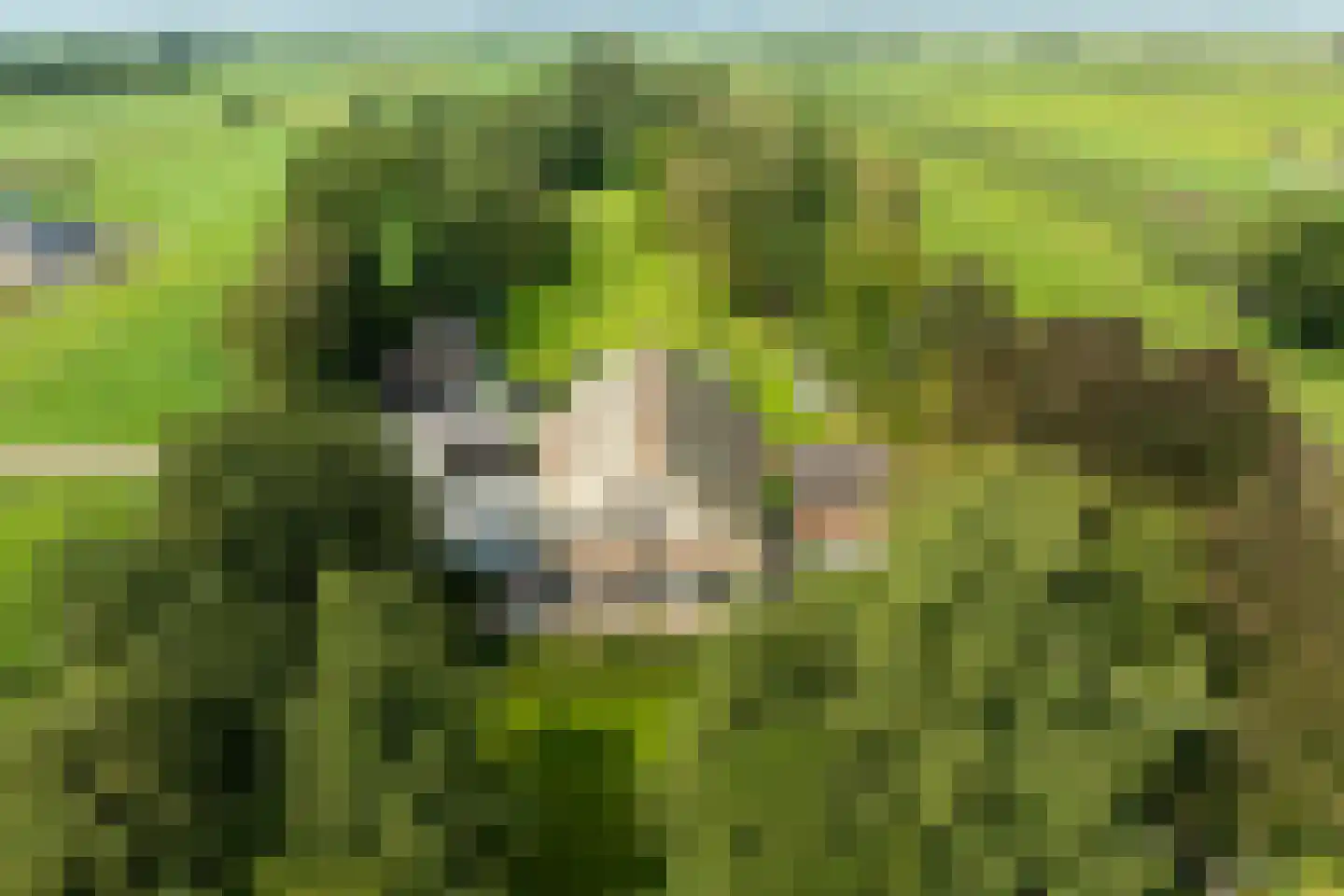 Mezenbergerweg 12 Doornspijk thumbnail 73
