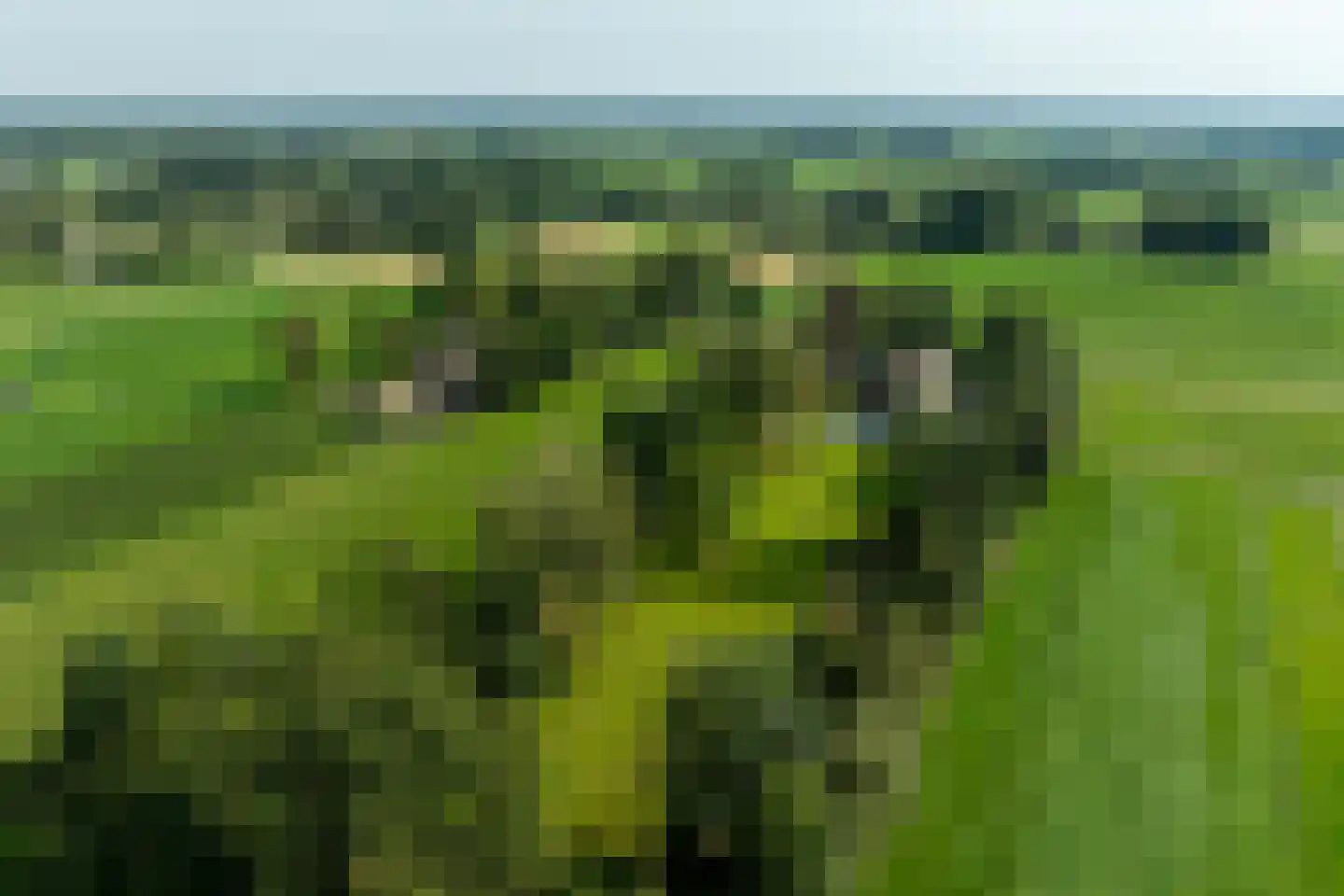 Mezenbergerweg 12 Doornspijk thumbnail 74