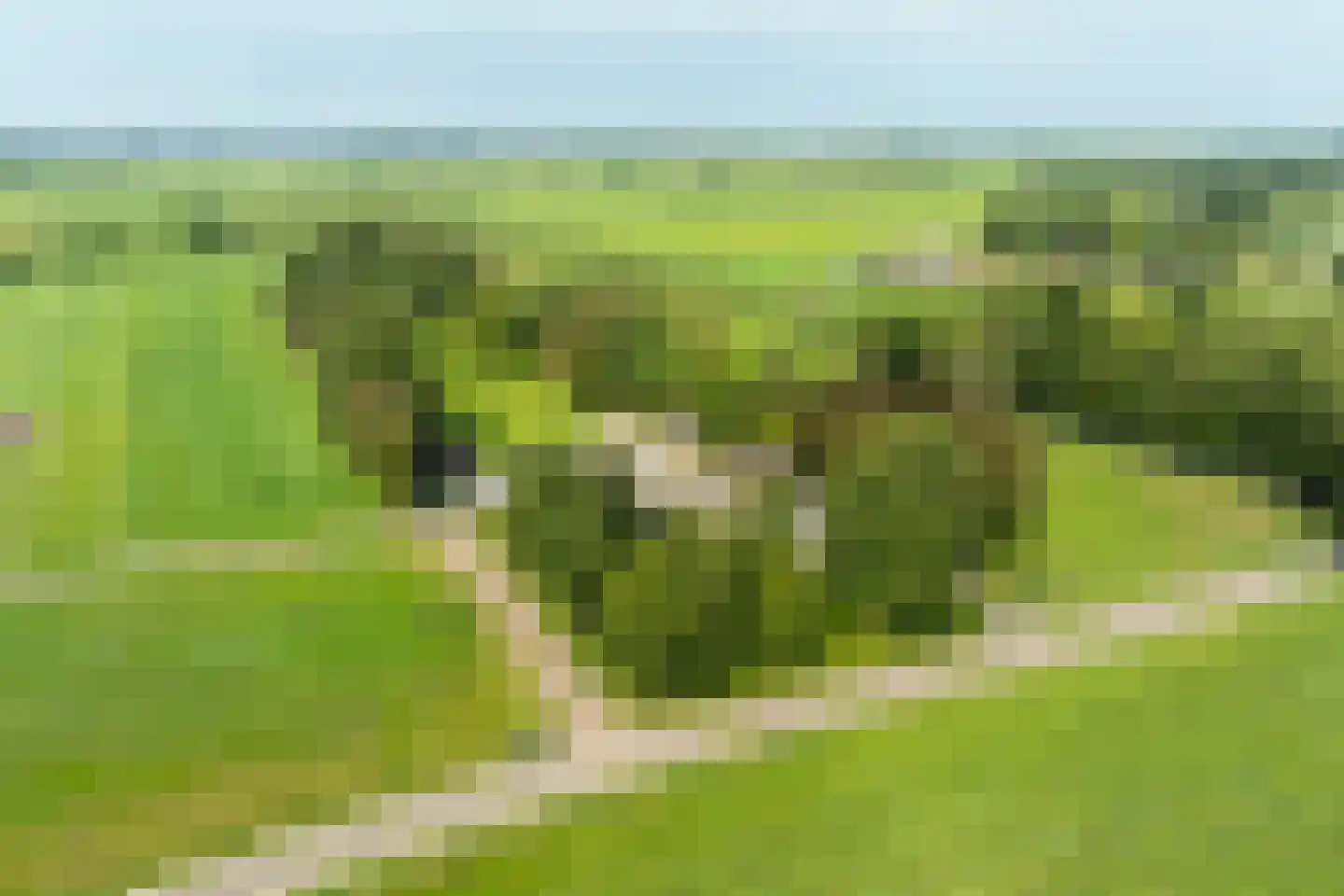Mezenbergerweg 12 Doornspijk thumbnail 75
