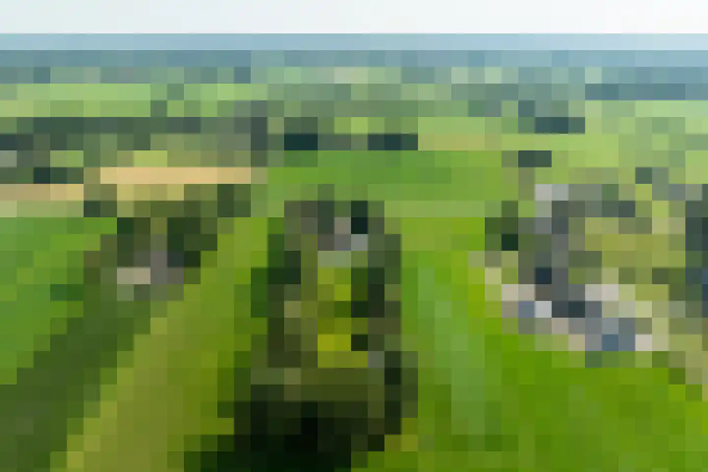 Mezenbergerweg 12 Doornspijk thumbnail 76