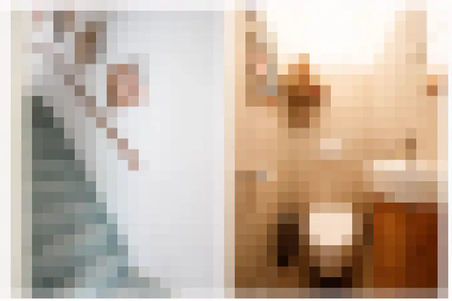 Mezendaal 27 Nieuwerkerk aan den IJssel thumbnail 9