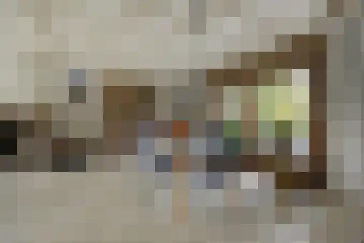 Mezendonk 22 St. Willebrord thumbnail 11
