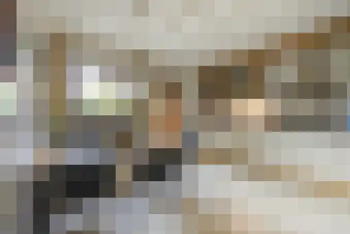 Mezendonk 22 St. Willebrord thumbnail 13