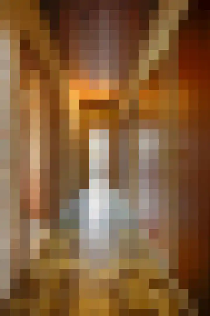 Mezendonk 22 St. Willebrord thumbnail 17