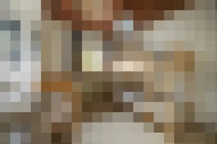 Mezendonk 22 St. Willebrord thumbnail 18
