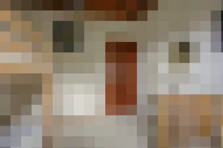 Mezendonk 22 St. Willebrord thumbnail 19