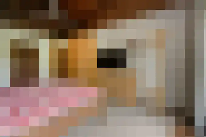 Mezendonk 22 St. Willebrord thumbnail 22