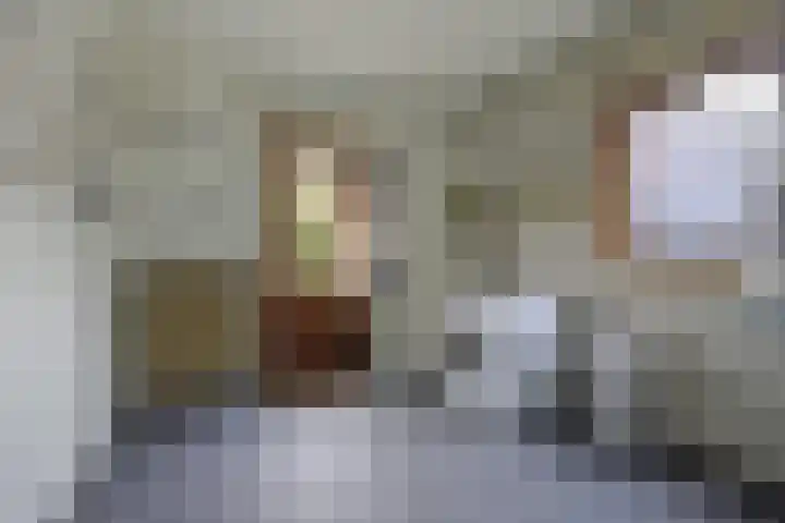 Mezendonk 22 St. Willebrord thumbnail 26