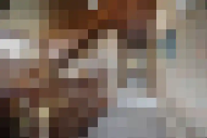 Mezendonk 22 St. Willebrord thumbnail 29