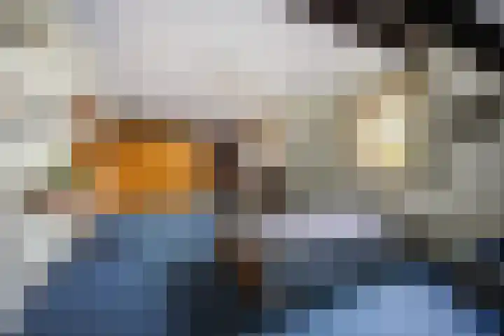 Mezendonk 22 St. Willebrord thumbnail 32