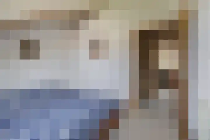 Mezendonk 22 St. Willebrord thumbnail 35