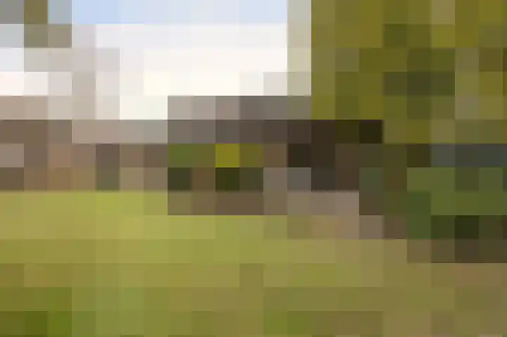 Mezendonk 22 St. Willebrord thumbnail 4