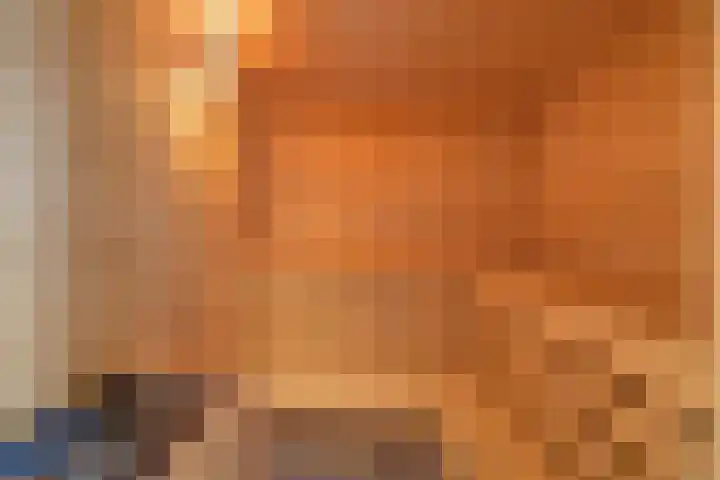 Mezendonk 22 St. Willebrord thumbnail 42