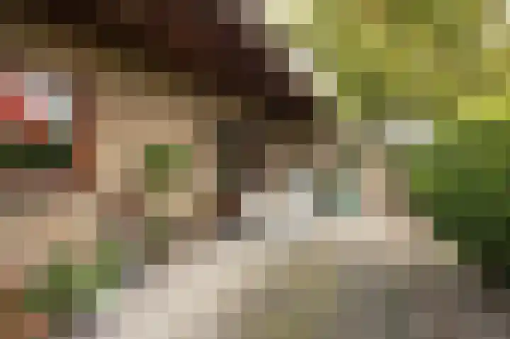 Mezendonk 22 St. Willebrord thumbnail 43