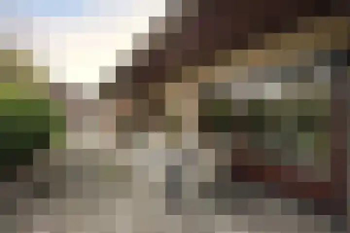 Mezendonk 22 St. Willebrord thumbnail 44