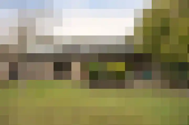 Mezendonk 22 St. Willebrord thumbnail 46