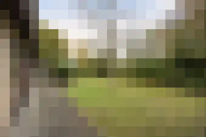 Mezendonk 22 St. Willebrord thumbnail 48