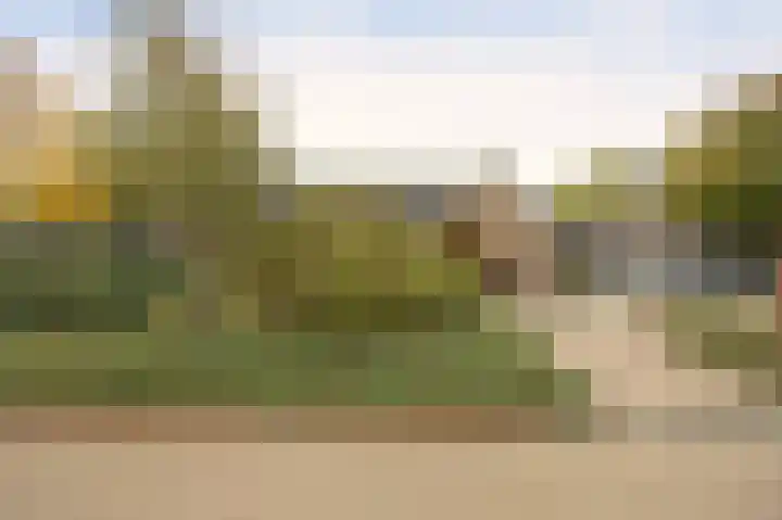 Mezendonk 22 St. Willebrord thumbnail 50
