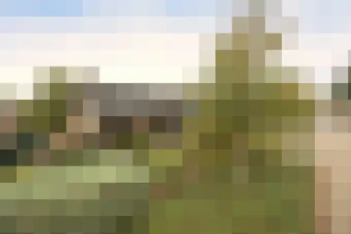 Mezendonk 22 St. Willebrord thumbnail 51