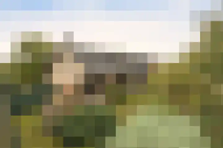 Mezendonk 22 St. Willebrord thumbnail 53