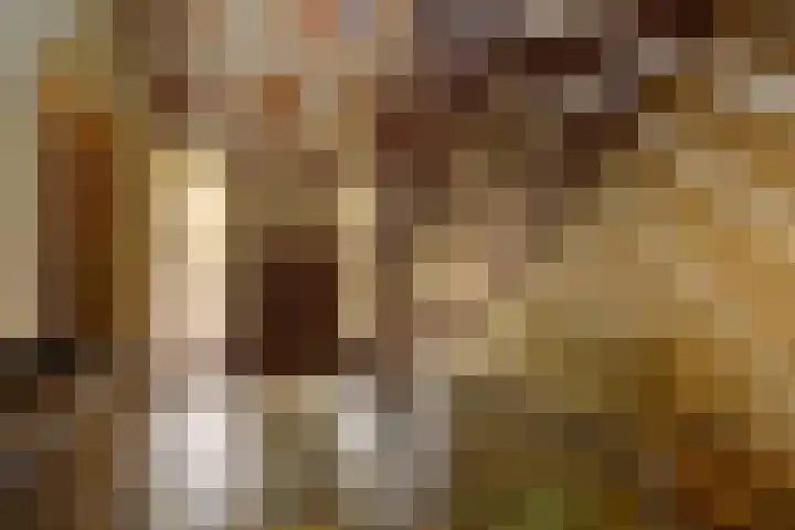 Mezendonk 22 St. Willebrord thumbnail 6