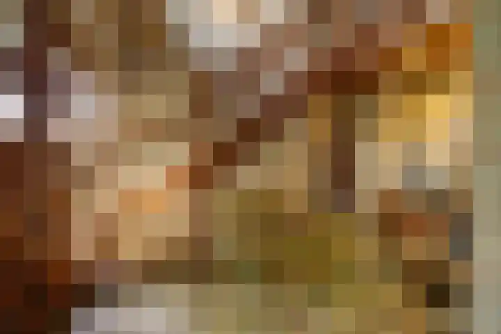 Mezendonk 22 St. Willebrord thumbnail 7