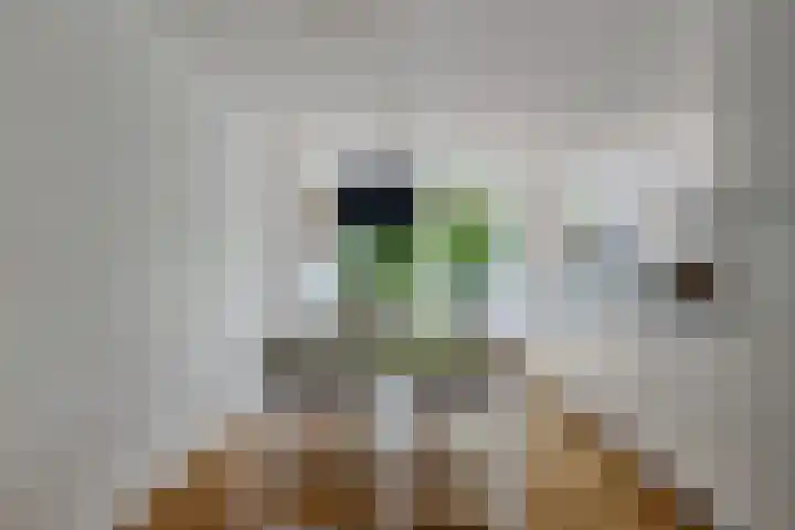 Mezenhof 10 Soest thumbnail 11