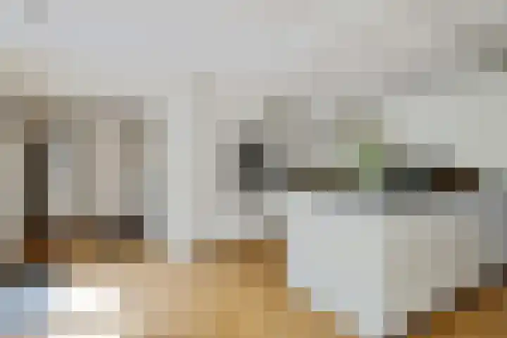 Mezenhof 10 Soest thumbnail 14