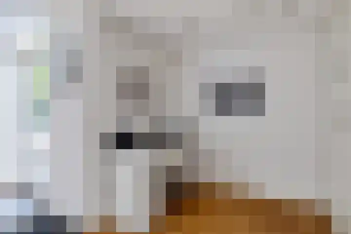Mezenhof 10 Soest thumbnail 15