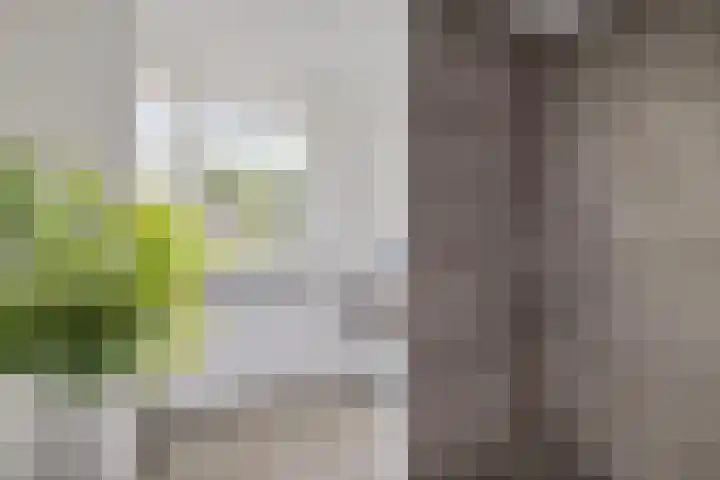 Mezenhof 10 Soest thumbnail 20