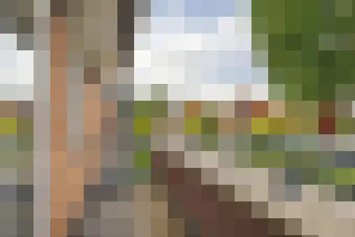 Mezenhof 10 Soest thumbnail 24