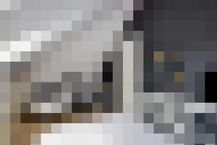Mezenhof 10 Soest thumbnail 30