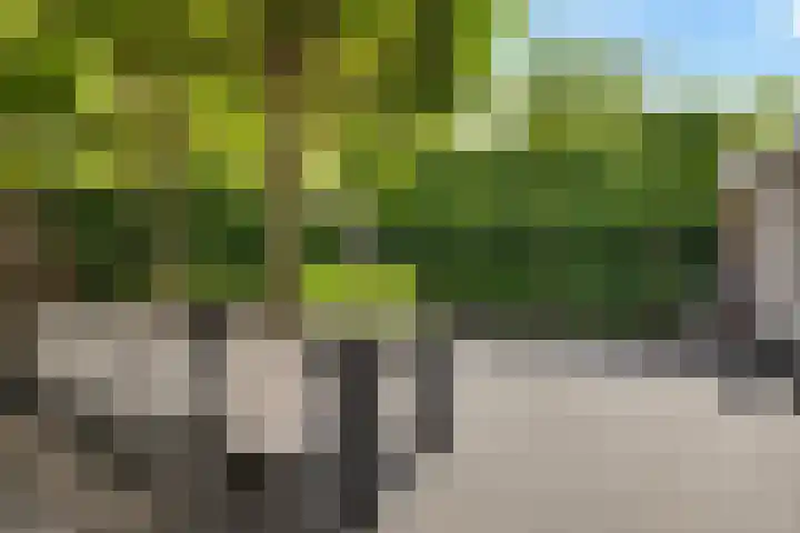 Mezenhof 10 Soest thumbnail 31