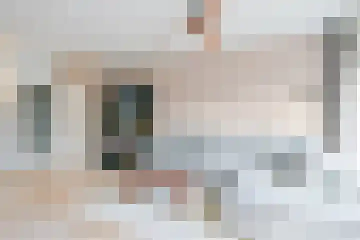 Mezenhof 106 Schagen thumbnail 10