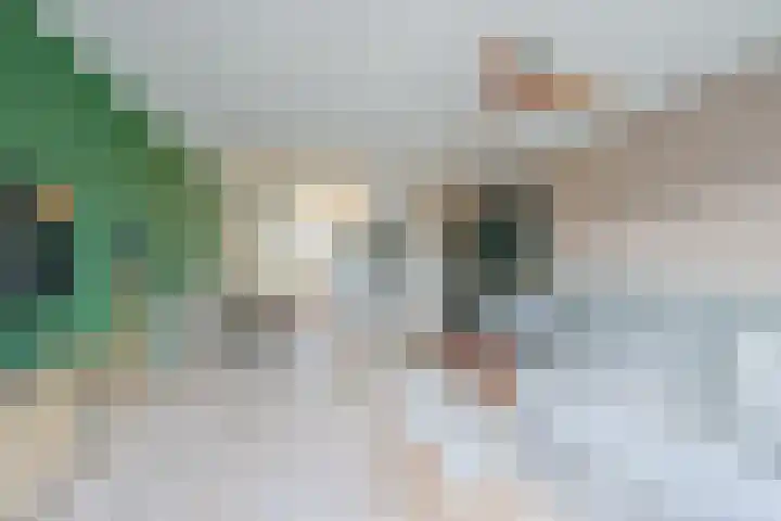Mezenhof 106 Schagen thumbnail 11