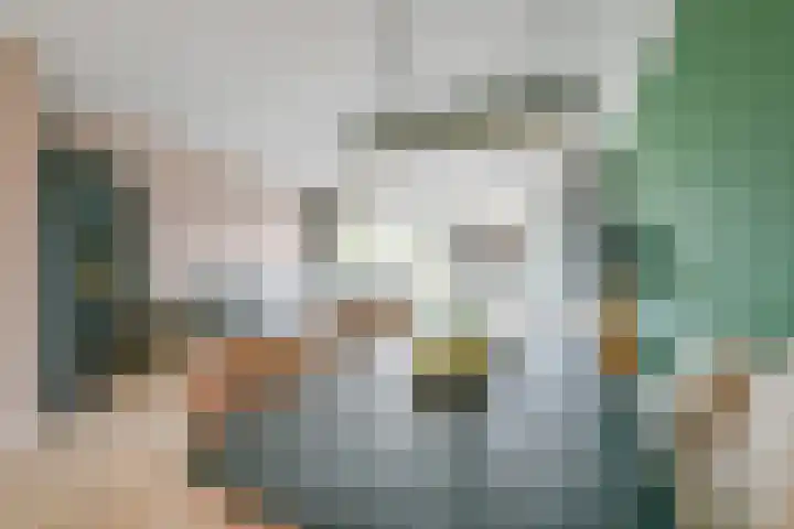 Mezenhof 106 Schagen thumbnail 12