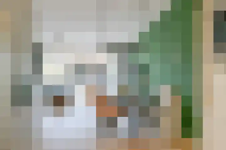 Mezenhof 106 Schagen thumbnail 16
