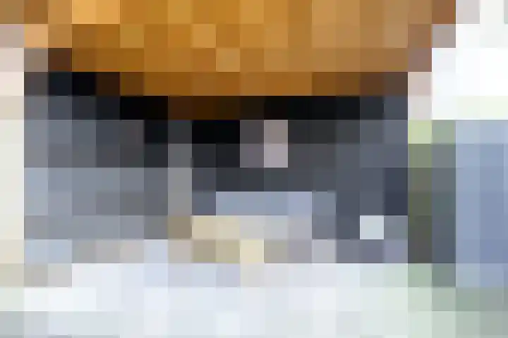 Mezenhof 106 Schagen thumbnail 18