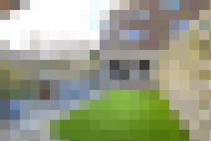 Mezenhof 106 Schagen thumbnail 19