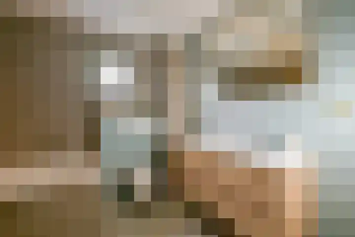 Mezenhof 106 Schagen thumbnail 27